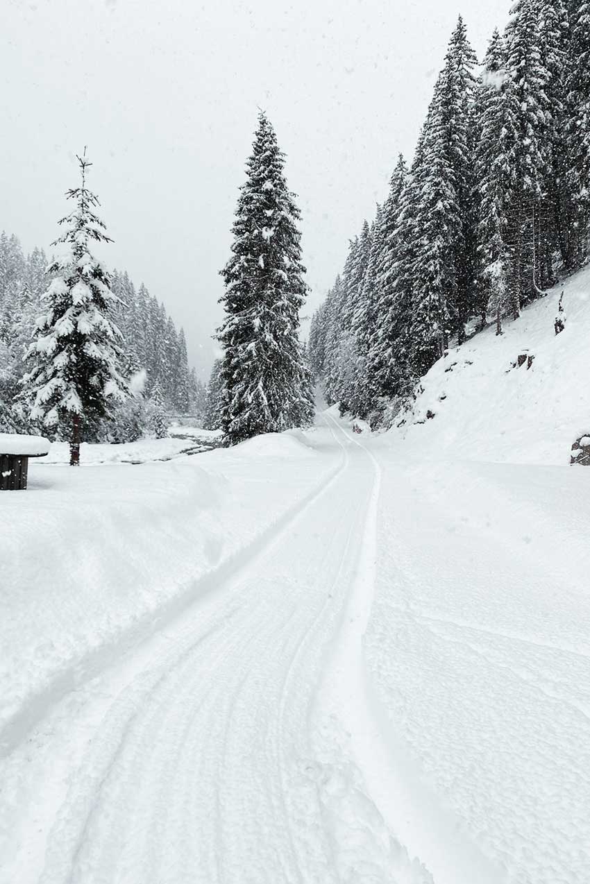 bergler-hoamat-mountain-hideaway-navis-aktiv-berge-winter-rodelweg